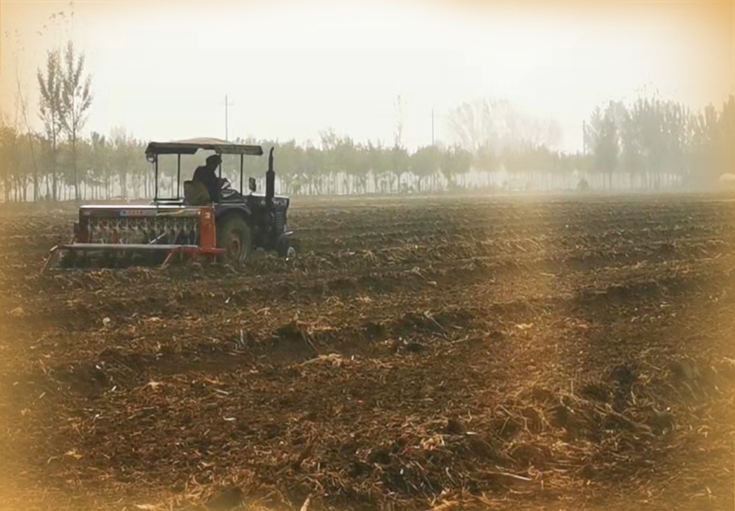 记者直击济南商河小麦播种现场