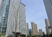 43万买的精装公寓成“惊装房”
