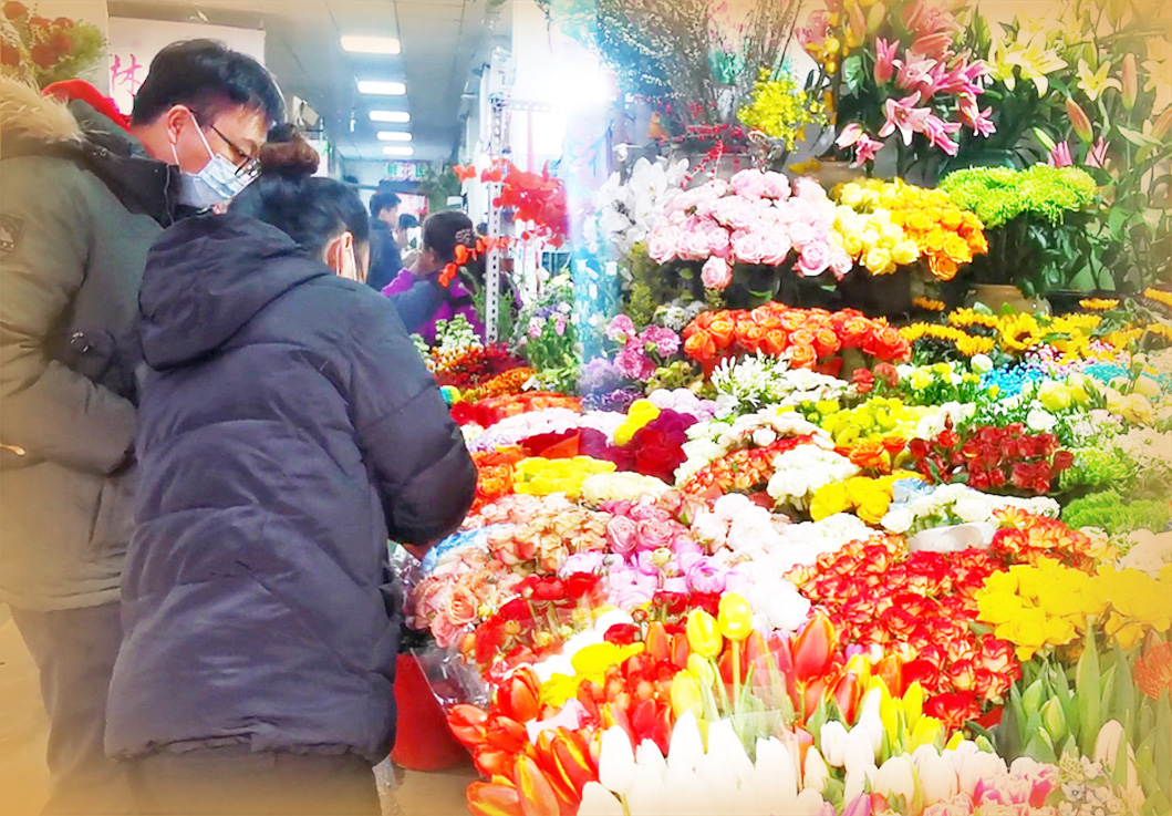 99朵玫瑰售价破千元 “今年情人节玫瑰不太‘自由’”