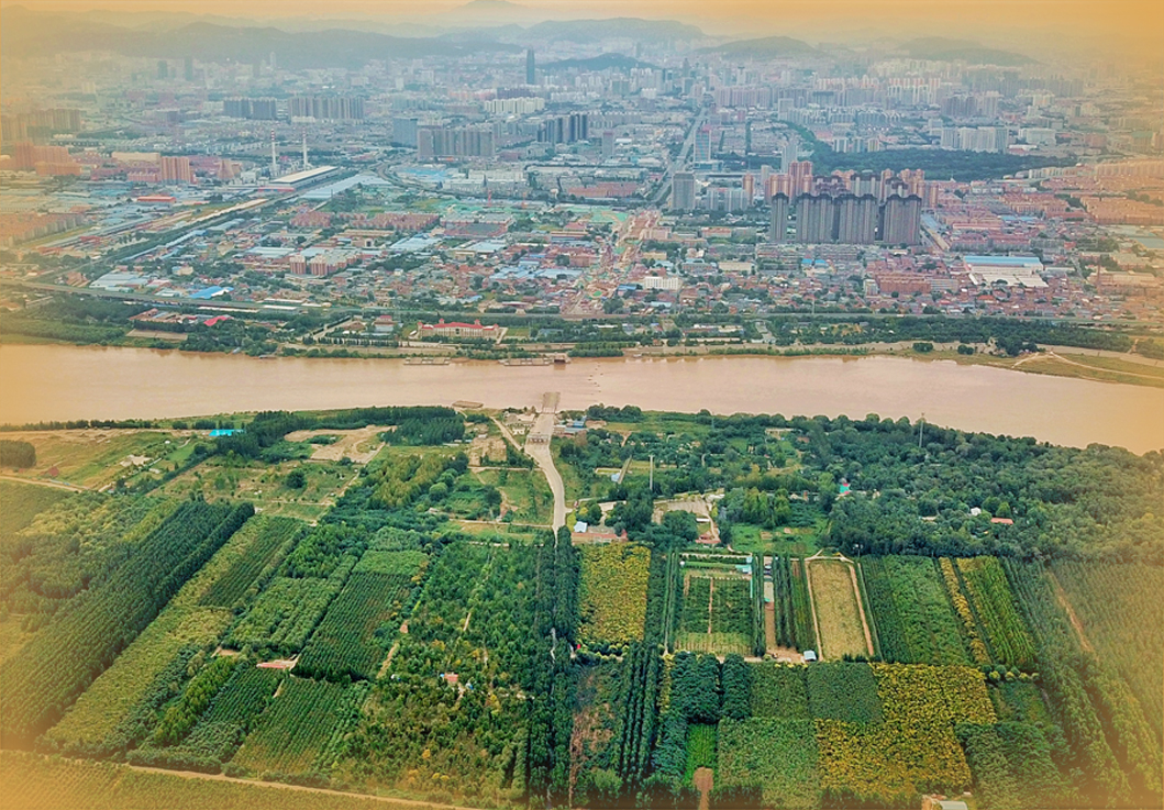 守护黄河,山东亮出五张“底牌”