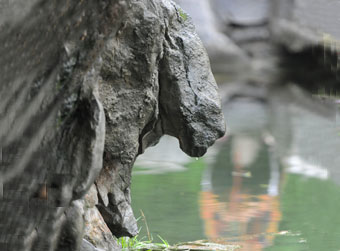 奇景“月牙飞瀑”时隔五年重现