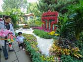 观泉赏菊,约起来