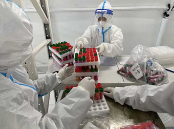 从采样到可查结果绿码出炉共分几步?