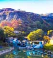 快来收藏山东宝藏乡村旅游目的地