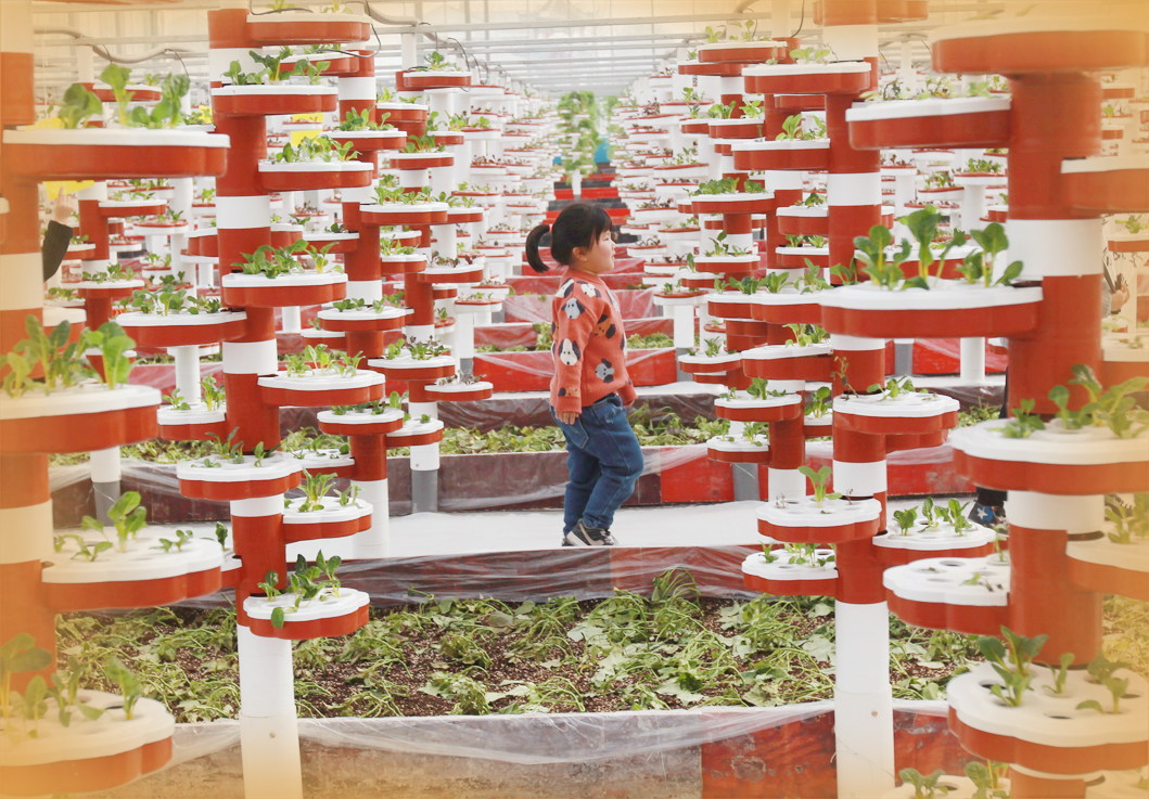 现代化农业产业园带来小村“智变”