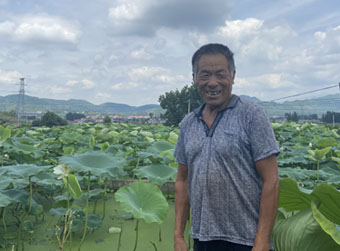 荒山莲藕致富经