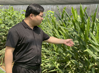 毕学堂返乡创业带领全村致富