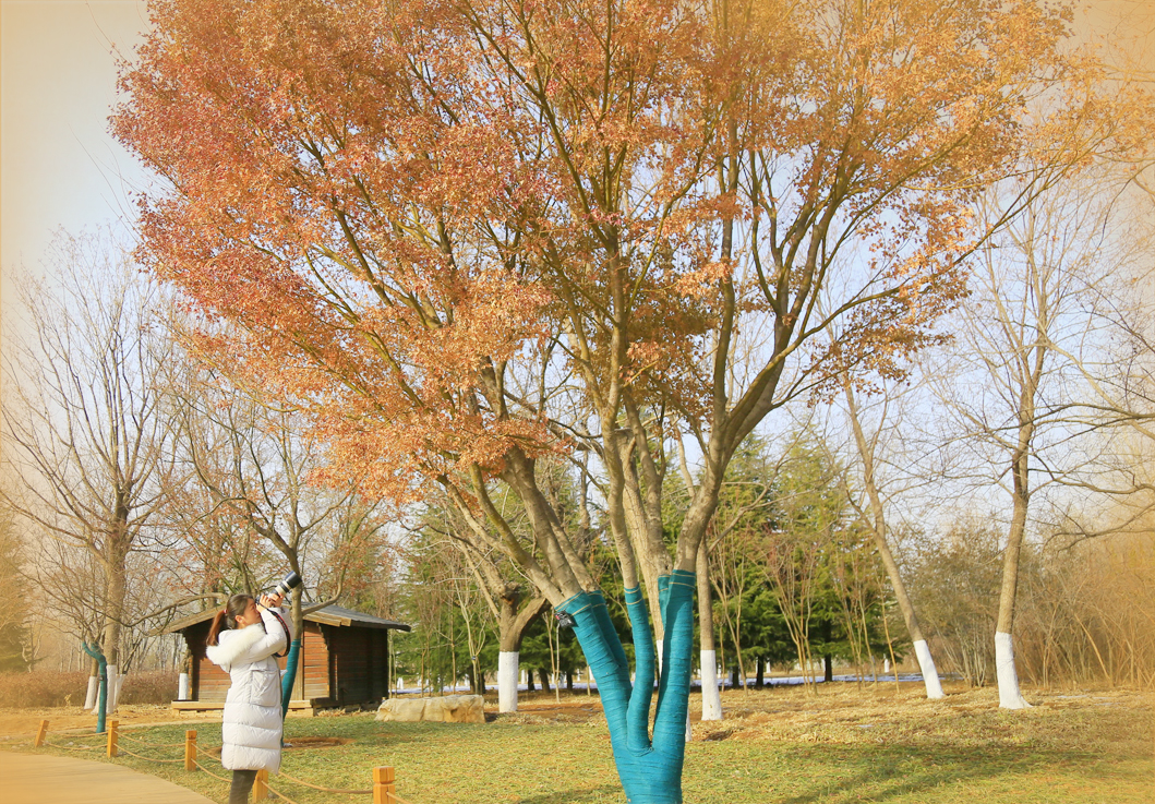今明济南雨水降临,气温仍整体偏高