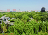 山东省本周迎降温,外出记得添件衣