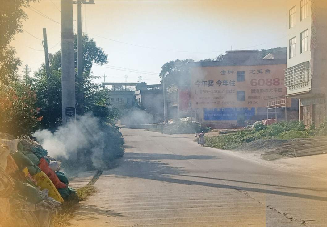 “黑车”司机碾死拦车辅警被判死刑