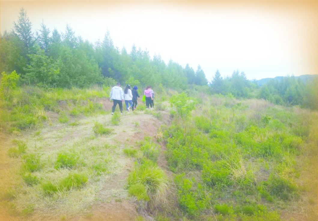 八旬老人林地被毁后的七年