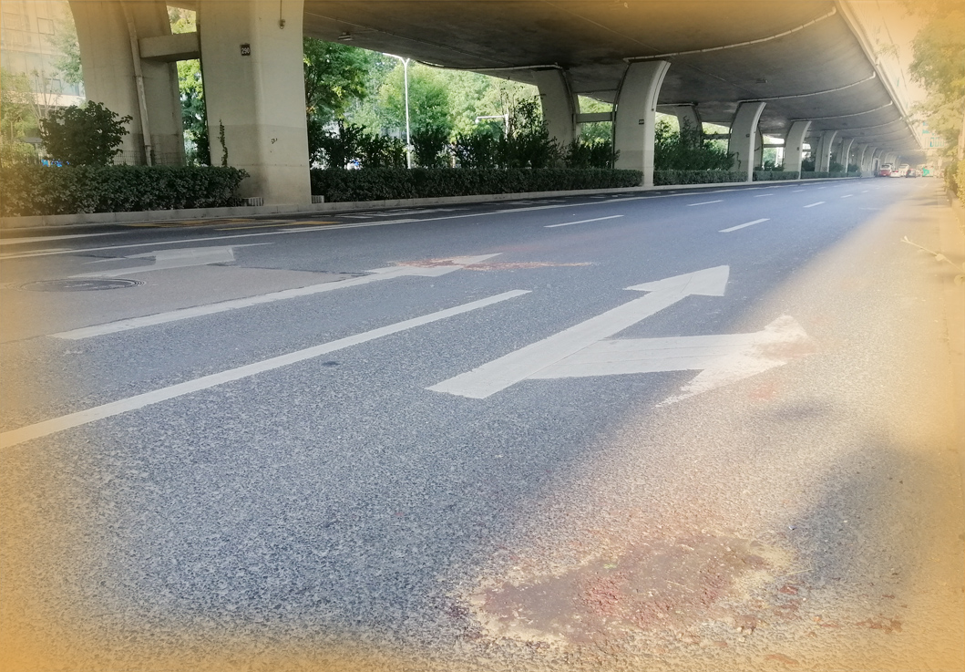 悲剧!“祖孙俩”过马路时被撞身亡