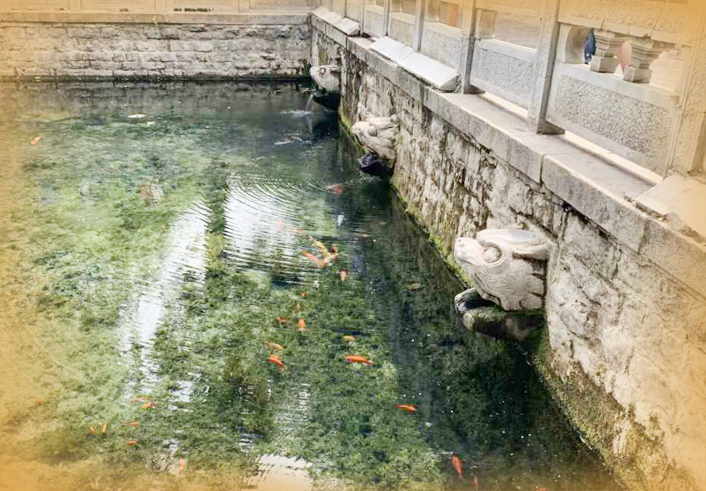 “打盹”一夜后，俩虎头微微“醒来”