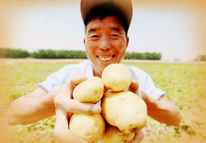 “灼热”的土豆