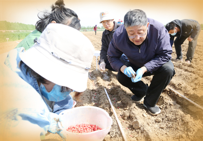 “花生增产大王”万书波获省科技最高奖