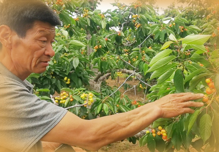 周边游“解锁”农家乐小院迎客来