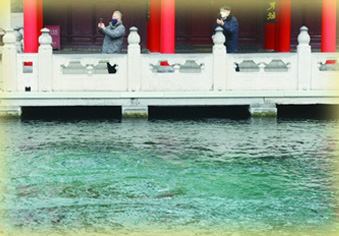 从“云游”中发现行业解冻契机