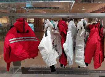 被“代工”的“加拿大鹅”