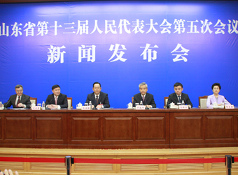 部分建议有关副省长将直接领办