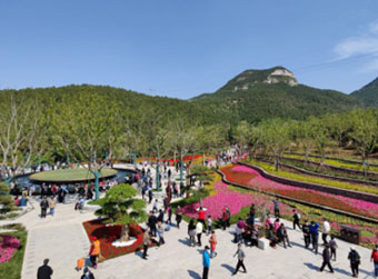 山东环保督察在济南的20天