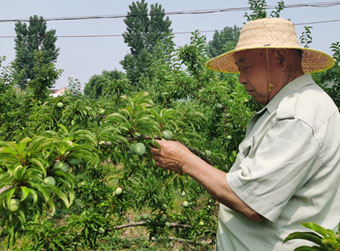 沂南后峪子村的“蜕变密码”