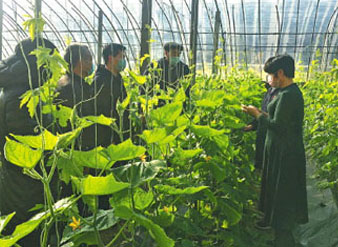 请放心,“菜篮子”满满的