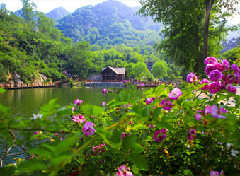 防疫期间修炼内功,打造差异化特色