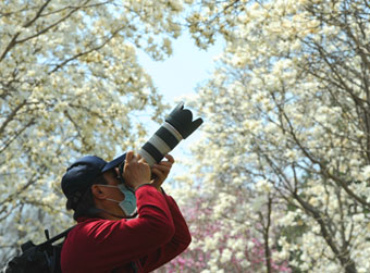 景区公园全面开放 门诊恢复医疗服务