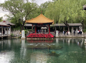 春夜喜雨,趵突泉仍难“解渴”