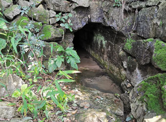 济南跃升“千泉之城”